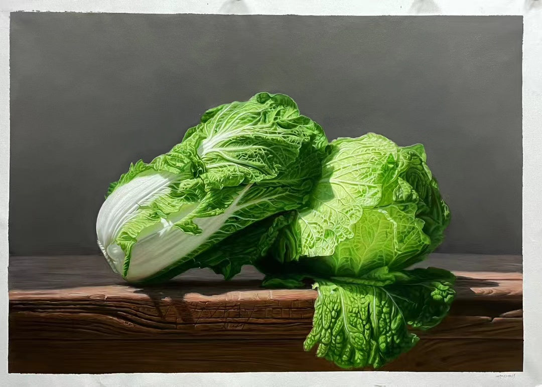 Realistic Chinese Cabbage Handmade Oil Painting on Canvas Wall Decor 28 by 39 M2024
