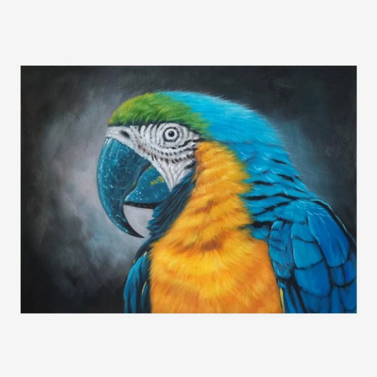 Parrot Oil Painting 12 by 16 Handmade bird artwork Animal Original Art Framed