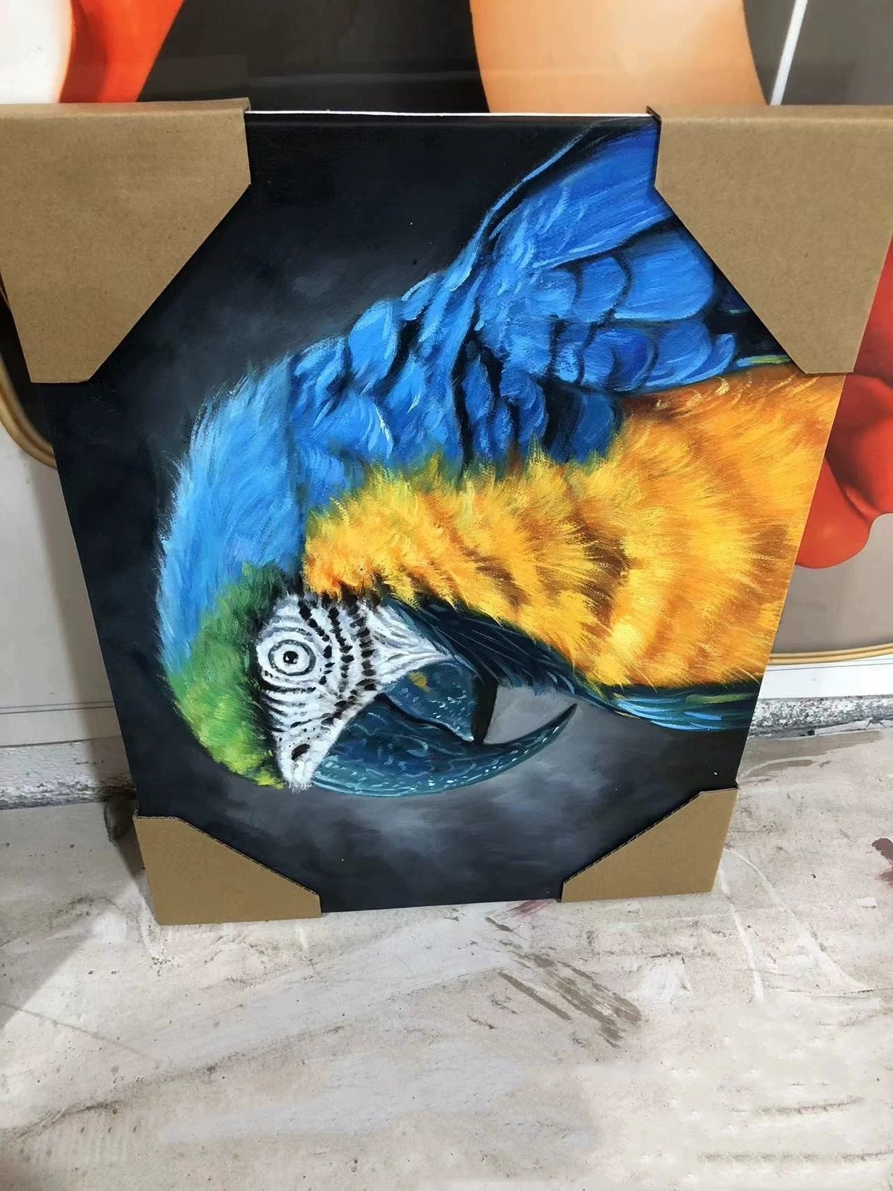 Parrot Oil Painting 12 by 16 Handmade bird artwork Animal Original Art Framed