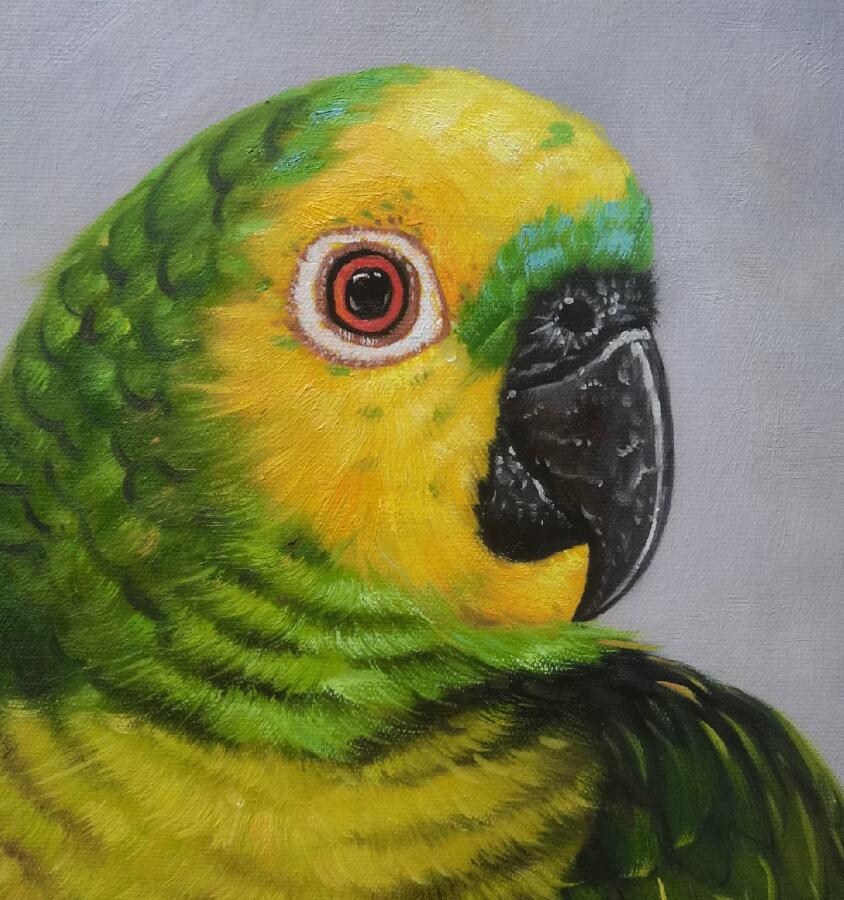 Parrot Oil Painting 12 by 16 Handmade bird Original Textured Art Gift for Family
