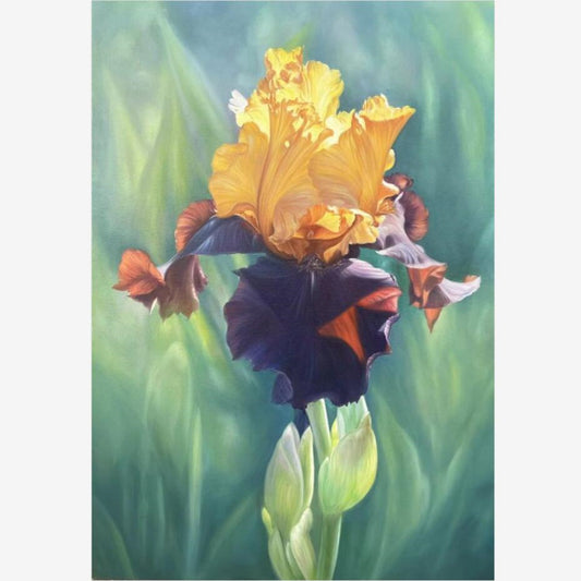 Realistic Flower 100% Handmade Oil Painting on Canvas Wall Decor 28 by 39 M2027