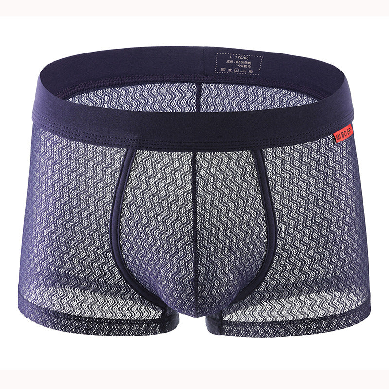 See Through Boy's Boxer Shorts B66