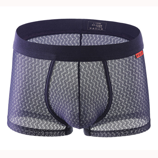 See Through Boy's Boxer Shorts B66