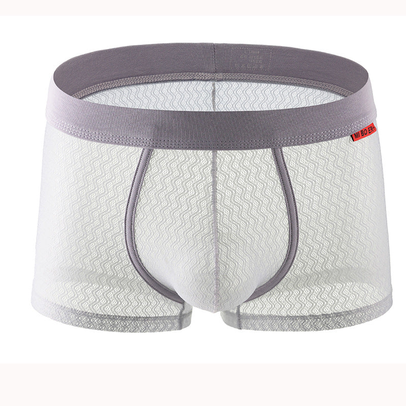 See Through Boy's Boxer Shorts B66