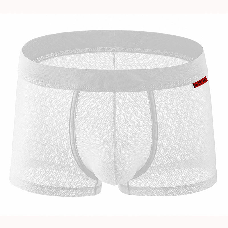 See Through Boy's Boxer Shorts B66